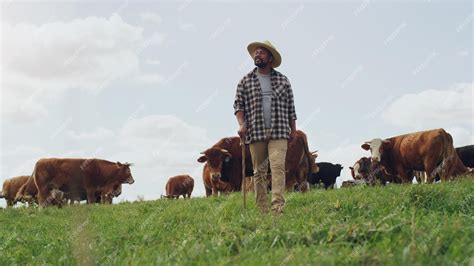 Premium Photo Agriculture Cow And Black Man Thinking On Farm Walking