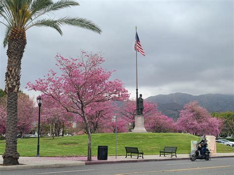 Just a random view of burbank right now : r/burbank