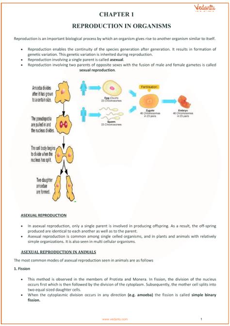 Class 12 Bio Chapter 3 Notes