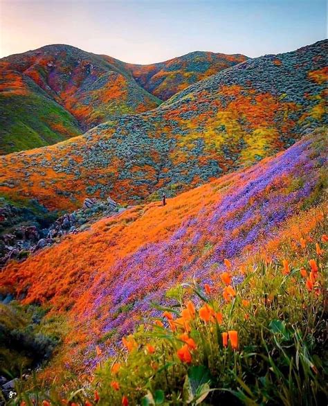 475 best Valley Of Flowers images on Pholder | Stardew Valley ...