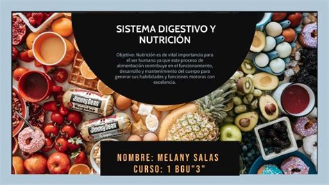 Sistema Digestivo Y Nutrición