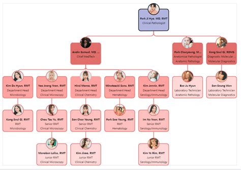 Organizational Chart Complete Guide EdrawMax 89496 Hot Sex Picture