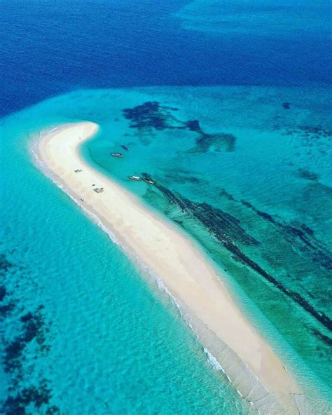 Prison Island Nakupenda Sandbank Stone Town Dream Dhow Tours Zanzibar