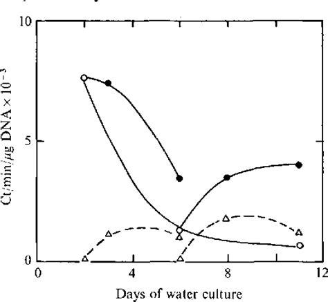 Figure 6 from The synthesis of tobacco mosaic virus RNA and ribosomal RNA in tobacco leaves ...