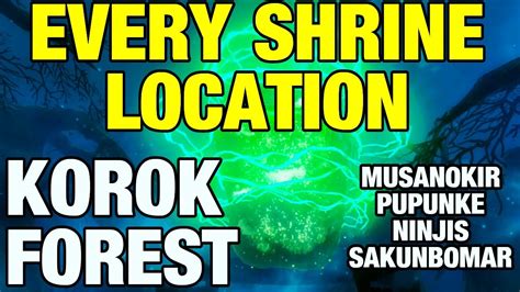 Every Shrine Location How To At Korok Forest Pupunke Ninjis And