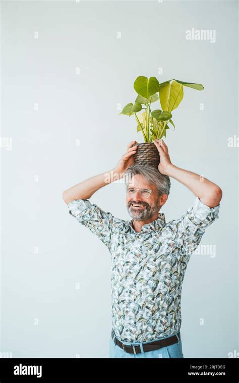 Businessman holding plant overhead in front of wall Stock Photo - Alamy