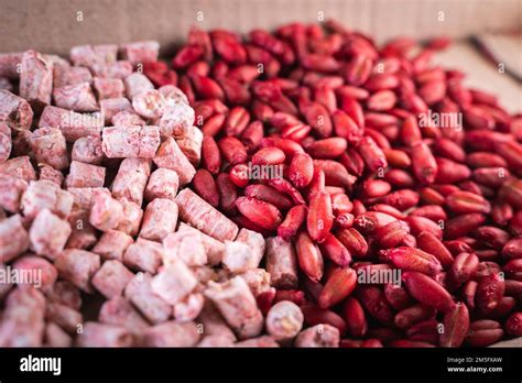 Two different poisons from rodent pests close-up on a cardboard backing. Red wheat and pink ...