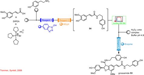 The Role Of PAT In The Development Of Telescoped Continuous Flow