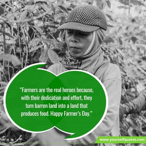 Kisan Divas Quotes 2022 Farmers Day Quotes Wishes To Honour Their