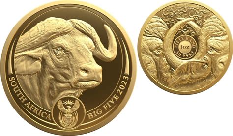 S Dafrika Rand Oz Gold Coin Big Five Series Ii Buffalo