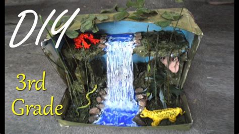 Rainforest Ecosystem Diorama