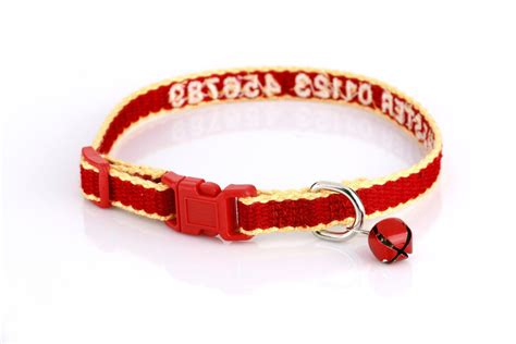 Personalized Cat Collar – Snazzy Fido