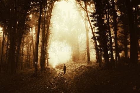 Silhouette Of Man In Dark Haunted Scary Forest On Halloween Night Stock