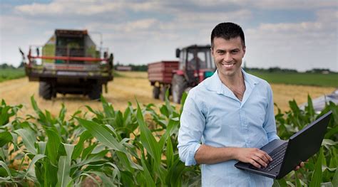 Regione Siciliana Bando Da 78 Milioni Di Euro Per Giovani Agricoltori