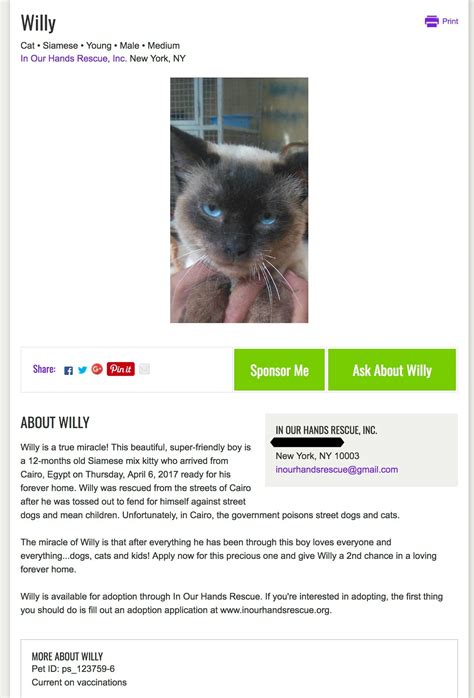 Willy Update - Still Sick & Needs Surgery ASAP And How In Our Hands