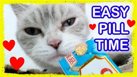 How To Get Cats To Eat Pills Method 2 Youtube