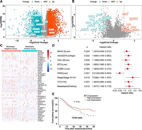 Frontiers Btc As A Novel Biomarker Contributing To Emt Via The Pi K