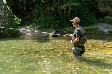 Pêche à la truite à la mouche noire pêche à la barre