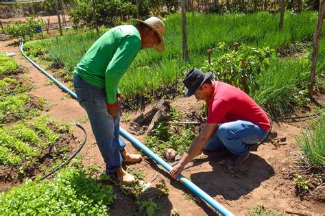 Prefeitura de Lagoa de São Francisco entrega kits a agricultores GP1