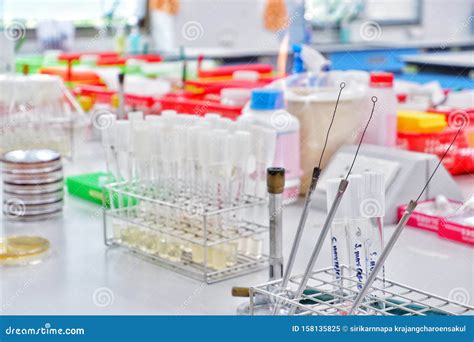 Microbiology laboratory stock image. Image of laboratory - 158135825