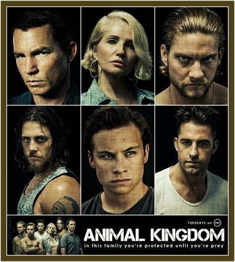 Pin by Lori Borchert on ANIMAL KINGDOM TV SHOW (TNT) | Animal kingdom ...