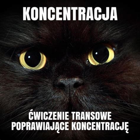 Koncentracja Skuteczna metoda na koncentrację Medytacja MEDITEUSZ