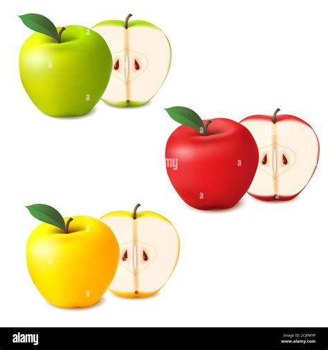 Realistic Apples Vector Set Whole And Sliced Red Green And Yellow