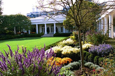 White House Rose Garden in the Fall - White House Historical Association