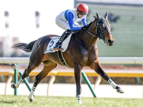 【東京6r新馬戦結果】ロードデルレイが一気の脚で抜け出し4馬身差圧勝 ライブドアニュース