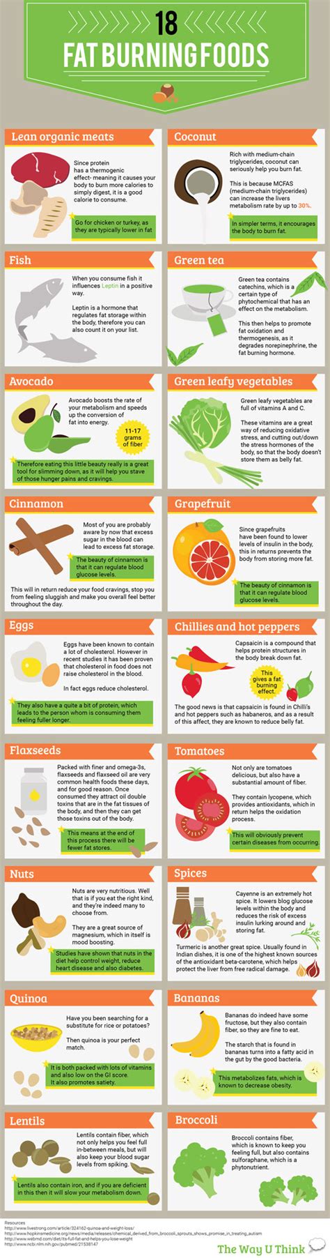 Fat Burning Foods Infographic Best Infographics