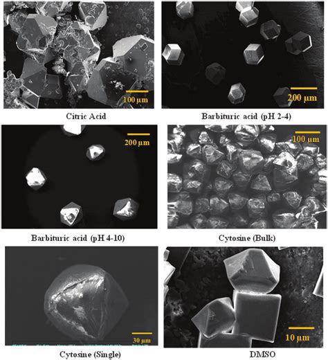 Sem Images Showing The Morphology Of The Nacl Crystals In The Presence