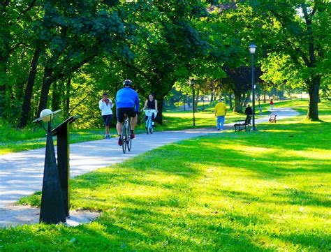 Willamette River Trail Loop Mountain Bike Trail, Eugene, Oregon