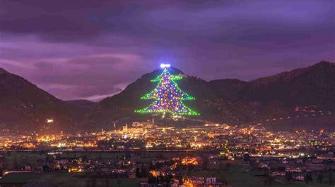 Der Gr Te Weihnachtsbaum Der Welt Italien Events