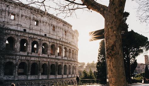 8 interesting facts about the Colosseum in Rome - Tripadvisor