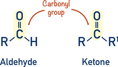 Organic Quick Notes Revision For A2 Level ChemistryStudent