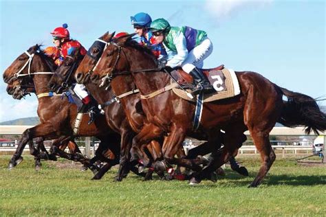 Gosford Races – Central Coast Mini Bus Hire