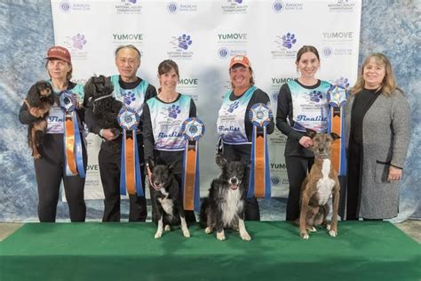 Meet The AKC National Agility Championship Winners For 2023