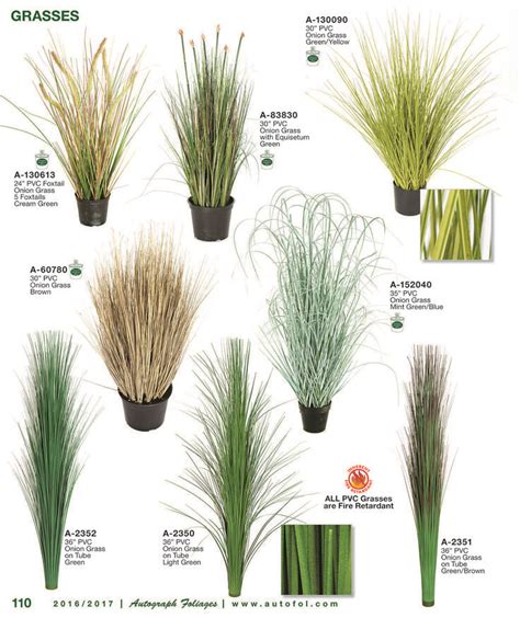 Pin on Ornamental Grasses | Ornamental grass landscape, Grasses ...