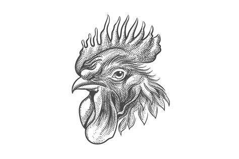 Rooster Head Tattoo drawn in engraving Style By Olena1983 | TheHungryJPEG