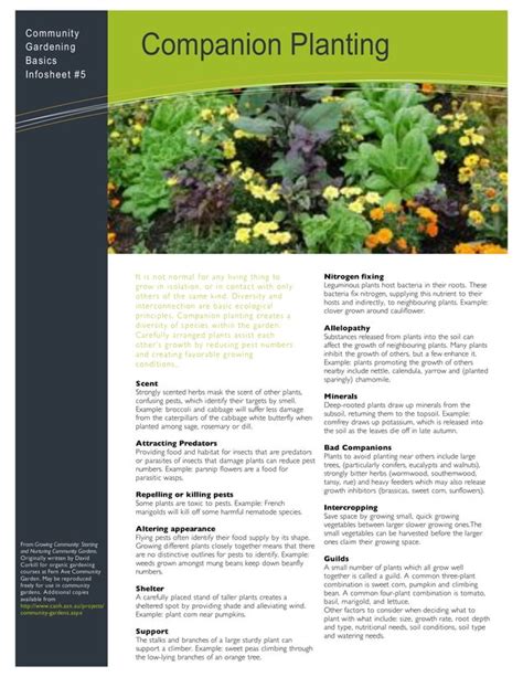 Companion Planting Fact Sheet And Community Gardening Basics