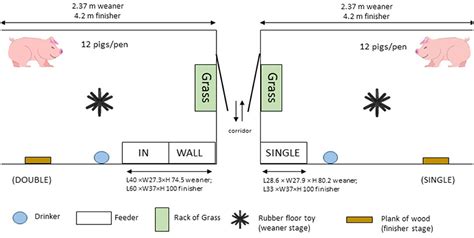 Frontiers Comparison Of Single And Double Spaced Feeders With Regard