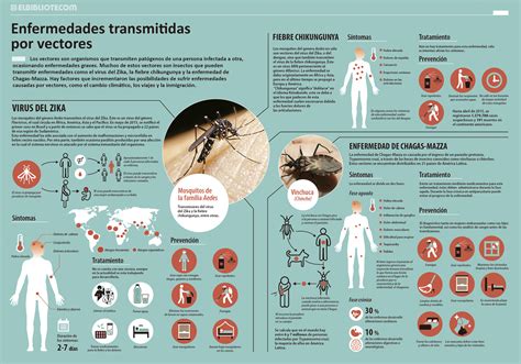 Enfermedades Transmitidas Por Vectores Un Problema De Gran Tamaño CA8