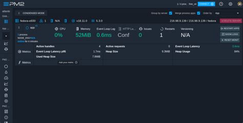 Guide Monitoring Node Js Applications With Pm2 Web Dashboard