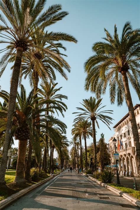 23 Awesome Things to do in Palma de Mallorca Spain