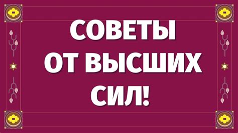 СОВЕТЫ ОТ ВЫСШИХ СИЛ в сфере личной жизни ЧТО ВАМ НАДО ЗНАТЬ И ДЕЛАТЬ