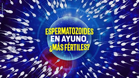 Unam On Twitter ¿qué Determina La Capacidad Fertilizante De Los Espermatozoides Expertosunam