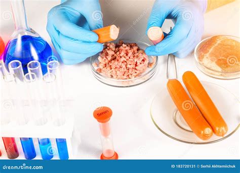 .Synthetic Meat Production. Checking the Product for Suitability in the ...