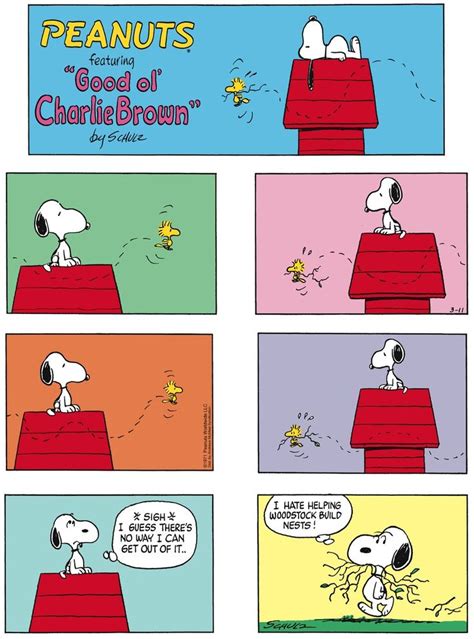 Peanuts Comic Strip About Charlie Brown