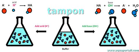 Pouvoir tampon définition et explications