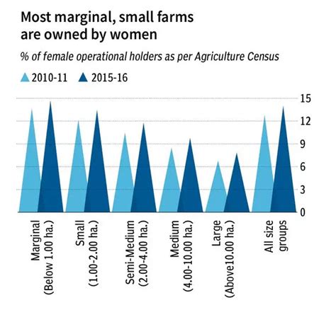 How Women Are Doing The Heavy Lifting In Agriculture The Hindu